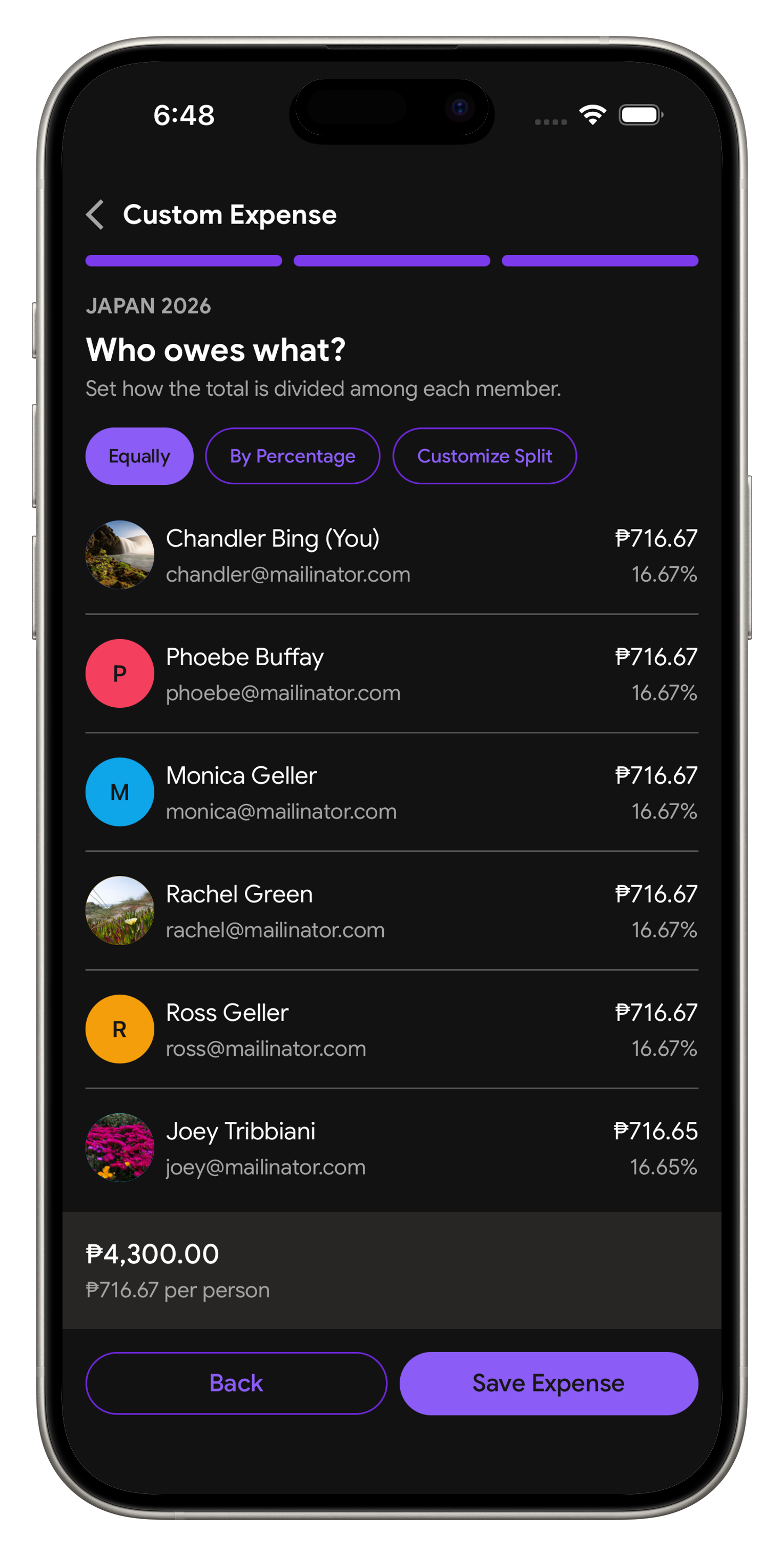 Ambagan custom expense member splits